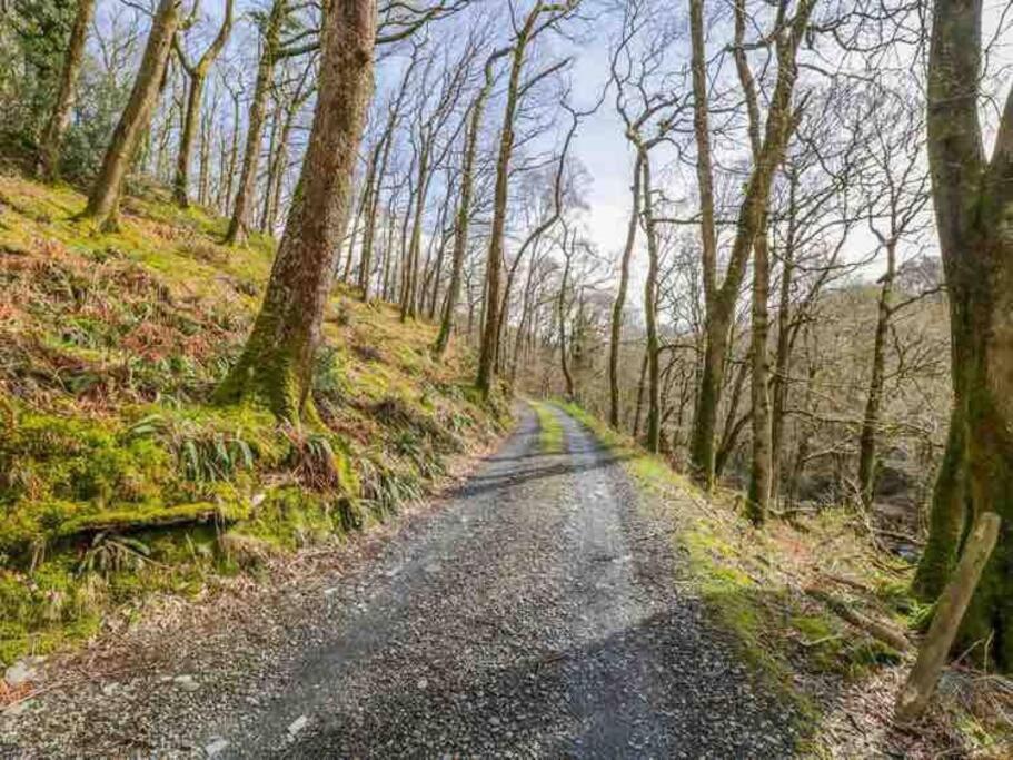 Pandy Farmhouse - Panoramic Mountain Views Within Snowdonia'S National Park - 4X4 Recommended Dolgellau Extérieur photo