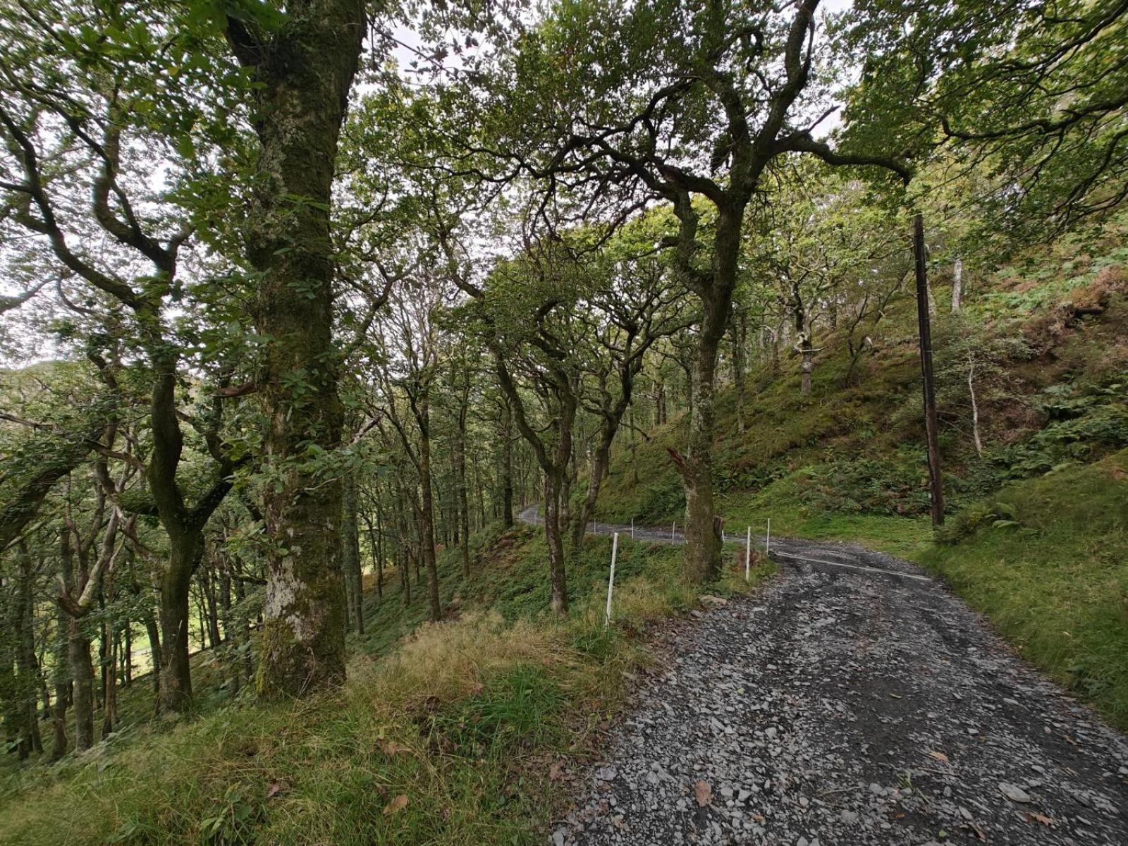 Pandy Farmhouse - Panoramic Mountain Views Within Snowdonia'S National Park - 4X4 Recommended Dolgellau Extérieur photo