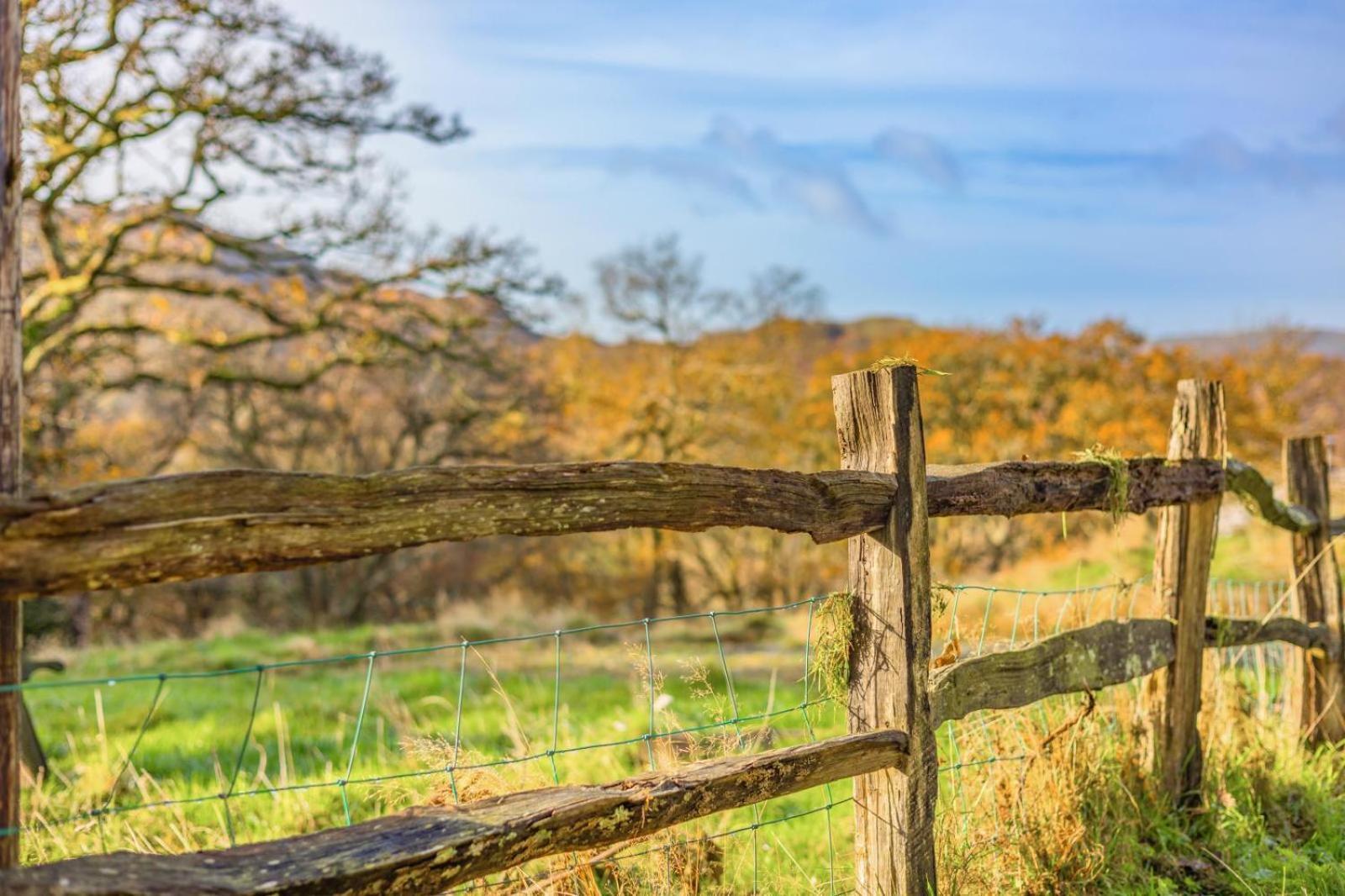 Pandy Farmhouse - Panoramic Mountain Views Within Snowdonia'S National Park - 4X4 Recommended Dolgellau Extérieur photo